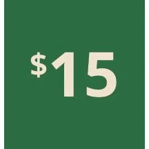 Artboard 1 copy 5@3x-80.jpg