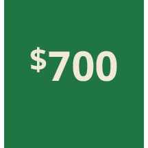 Artboard 1 copy 490@3x.png