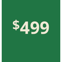 Artboard 1 copy 589@3x.png