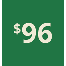 Artboard 1 copy 86@3x.png