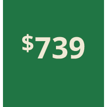 Artboard 1 copy 729@3x.png