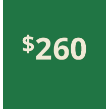 Artboard 1 copy 250@3x.png