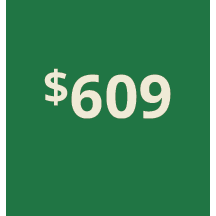 Artboard 1 copy 399@3x.png