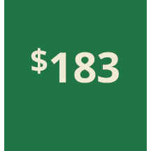 Artboard 1 copy 173@3x.png