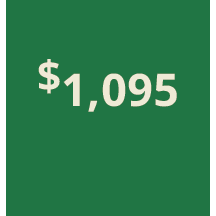 Artboard 1 copy 485@3x.png