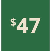 Artboard 1 copy 37@3x-80.jpg