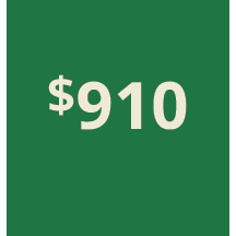 Artboard 1 copy 900@3x.png