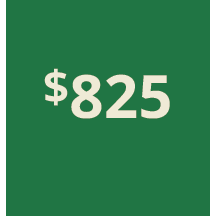 Artboard 1 copy 815@3x.png