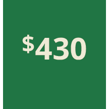 Artboard 1 copy 520@3x.png