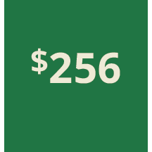 Artboard 1 copy 246@3x.png