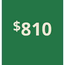 Artboard 1 copy 800@3x.png