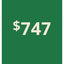 Artboard 1 copy 737@3x.png