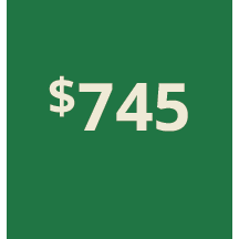 Artboard 1 copy 735@3x.png