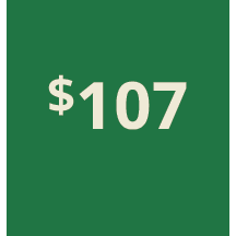 Artboard 1 copy 97@3x.png