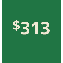 Artboard 1 copy 303@3x.png