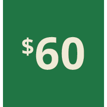 Artboard 1 copy 50@3x.png