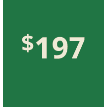 Artboard 1 copy 187@3x.png