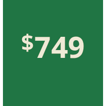 Artboard 1 copy 739@3x.png