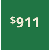 Artboard 1 copy 901@3x.png