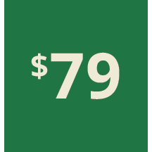 Artboard 1 copy 69@3x.png