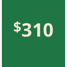 Artboard 1 copy 300@3x.png