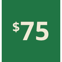 Artboard 1 copy 65@3x.png