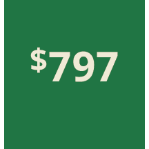 Artboard 1 copy 787@3x.png