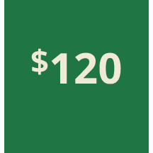 Artboard 1 copy 110@3x.png