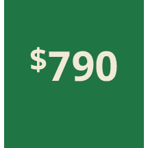 Artboard 1 copy 780@3x.png