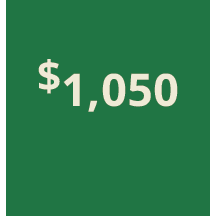 Artboard 1 copy 440@3x.png