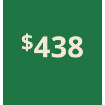 Artboard 1 copy 528@3x.png