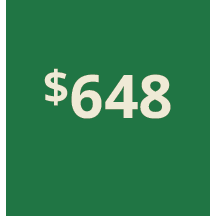 Artboard 1 copy 438@3x.png