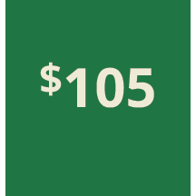 Artboard 1 copy 95@3x.png