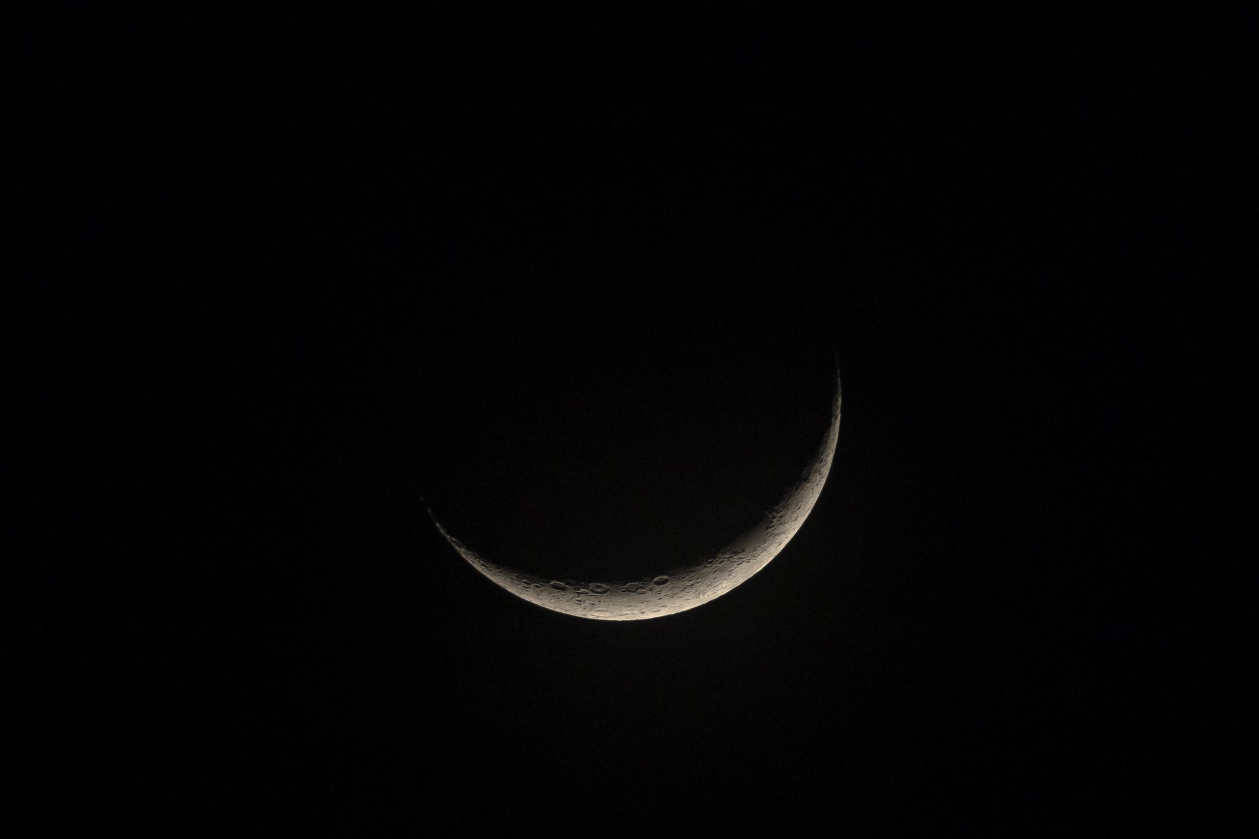 3R6A4154.jpg