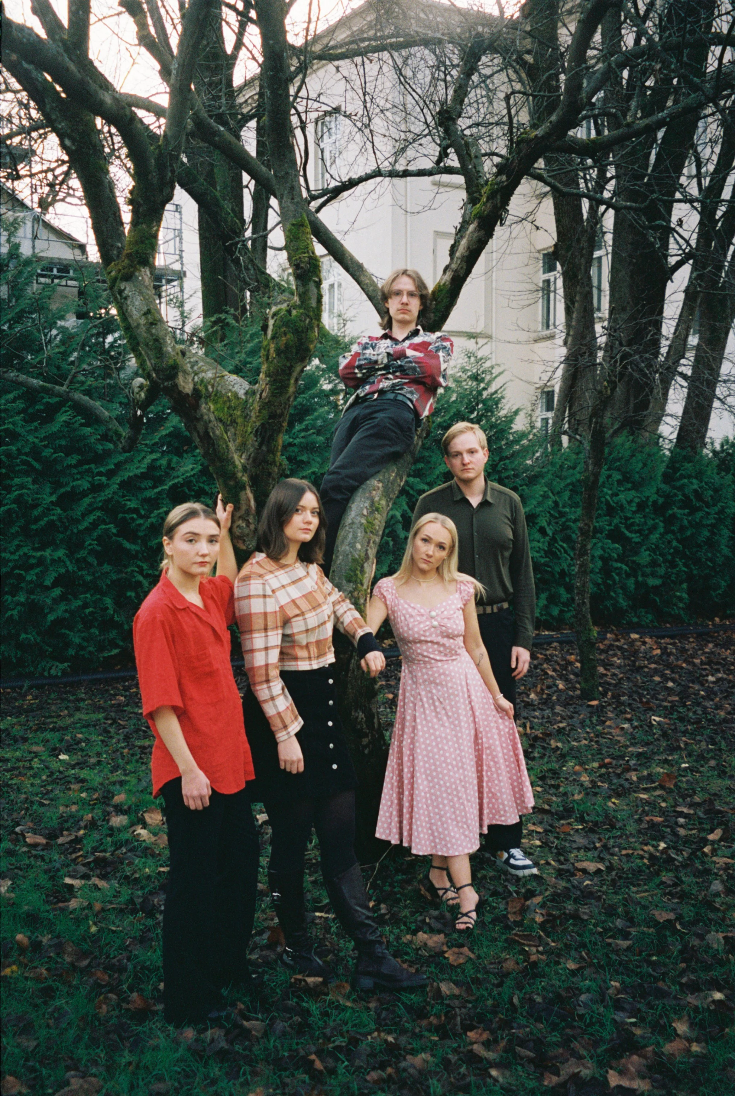 Marple-1.jpg