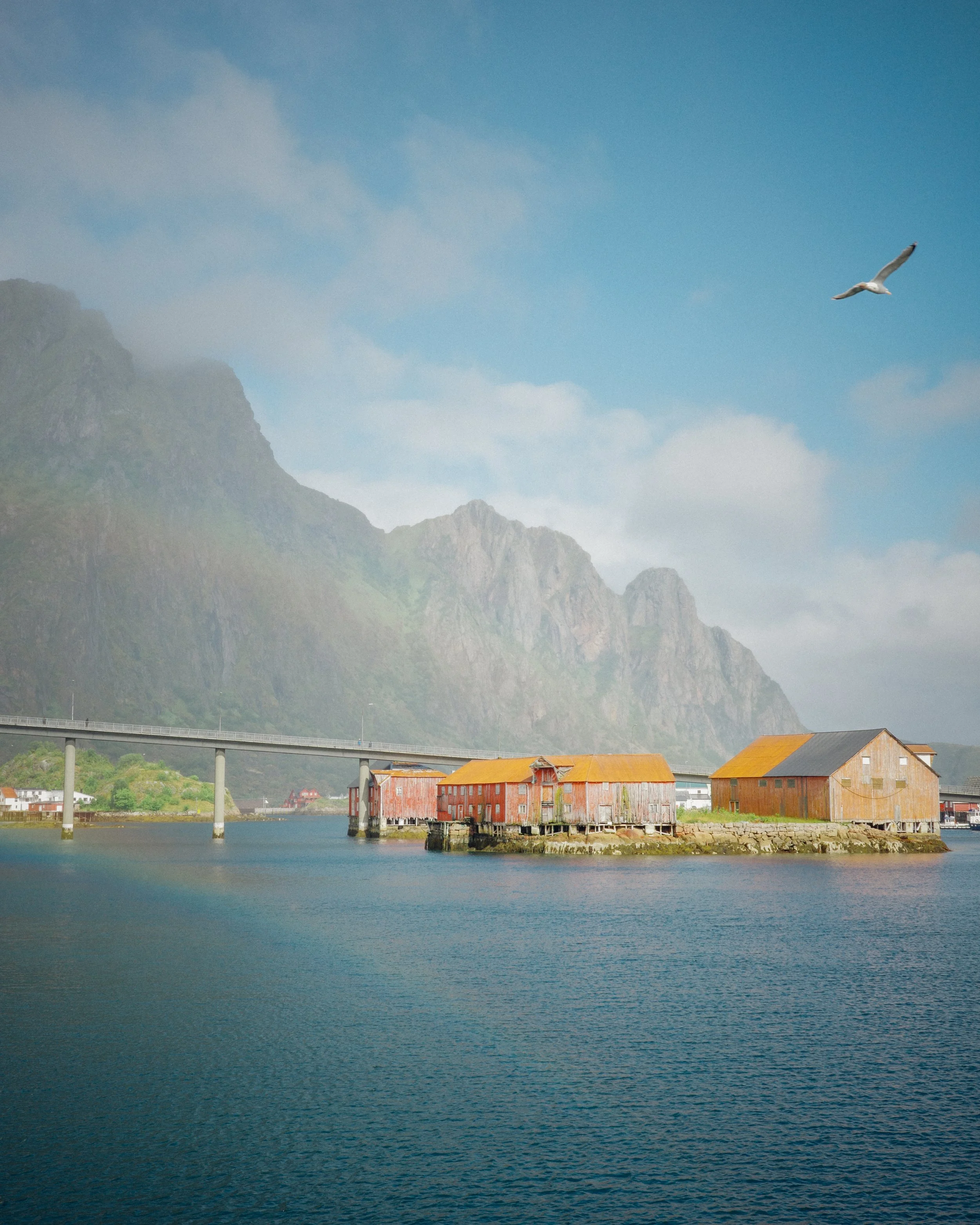 Lofoten_insta-13.jpg