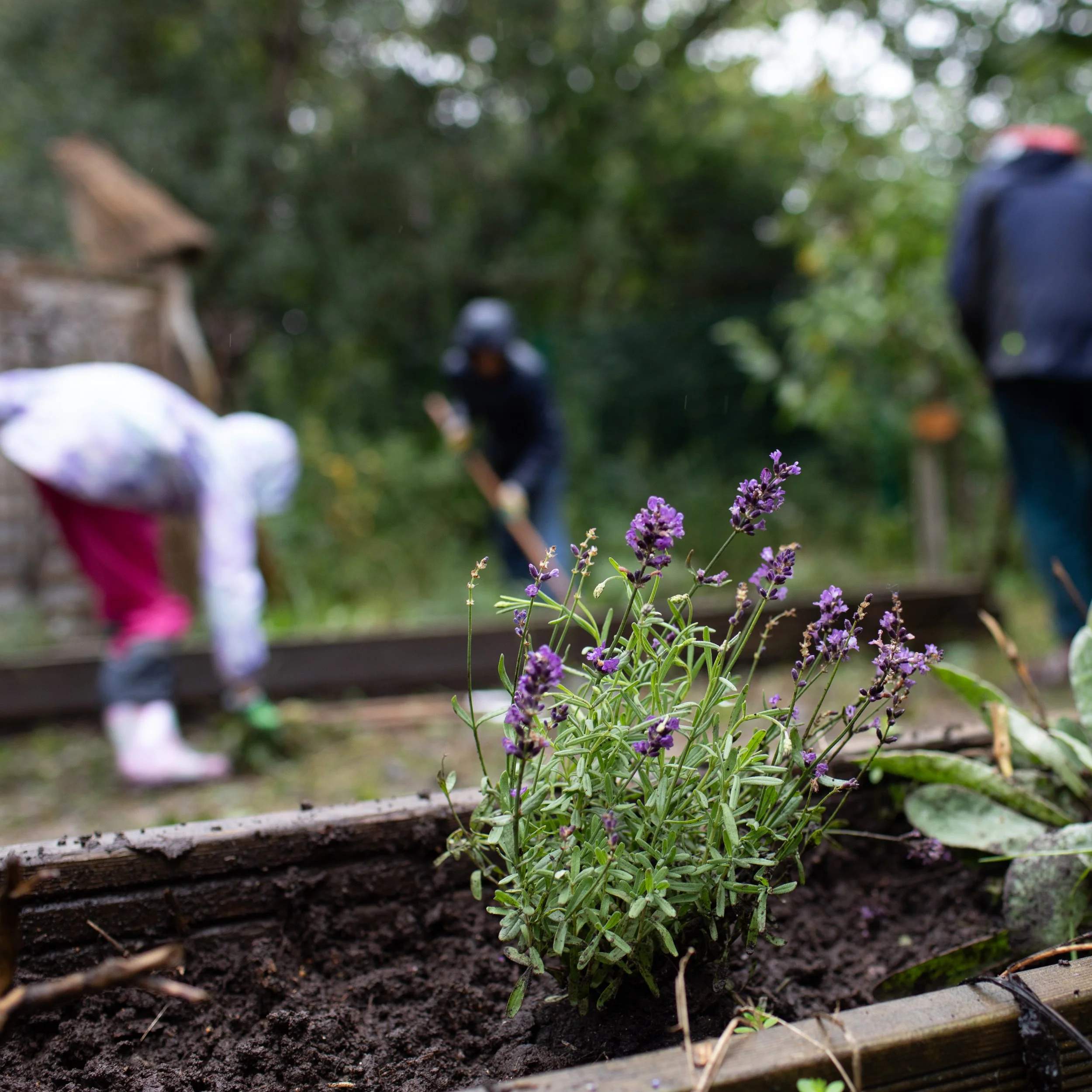 Michaelmas 2024 - School Work Day