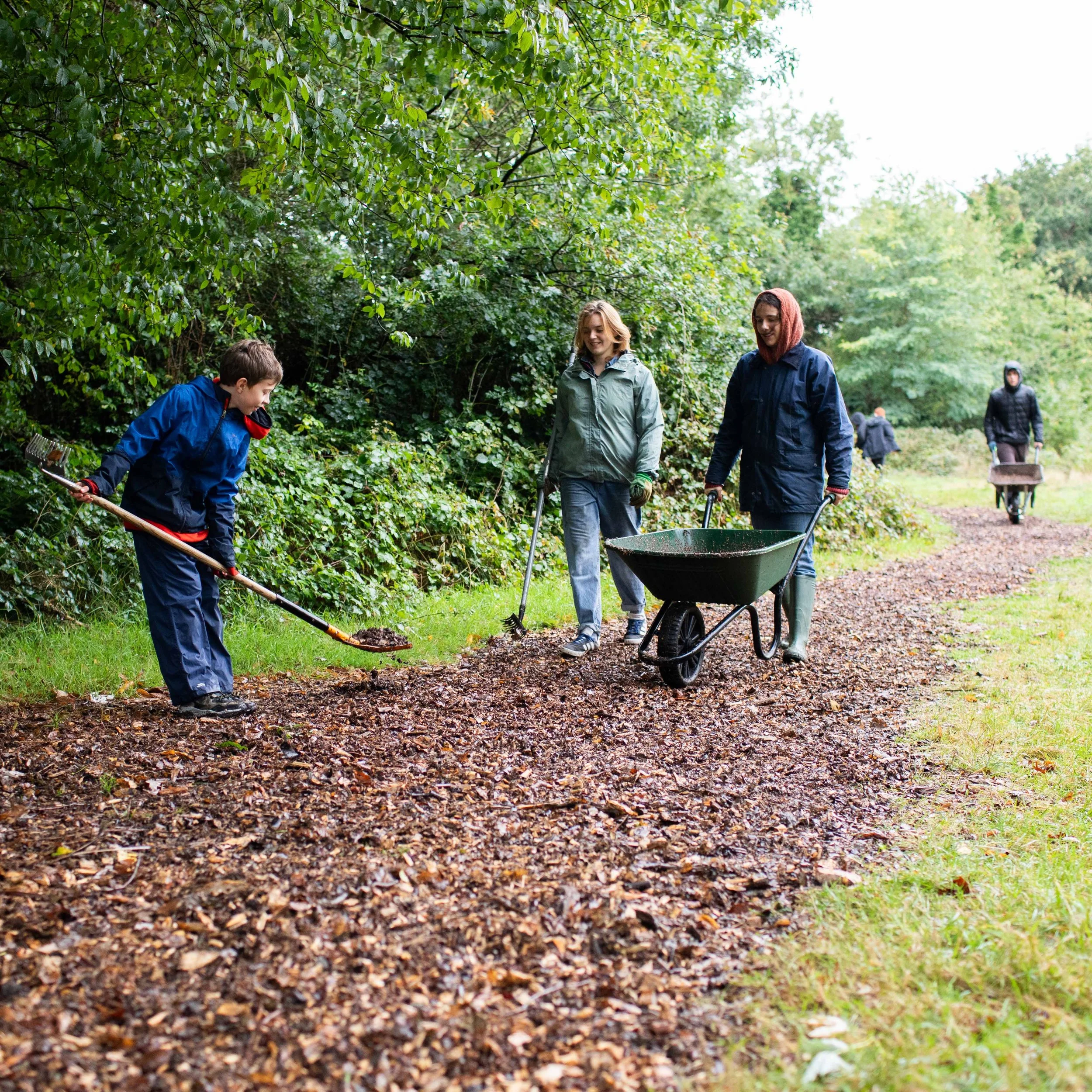 Group of volunteers raking leaves and cleaning a wooded pathway outdoors.