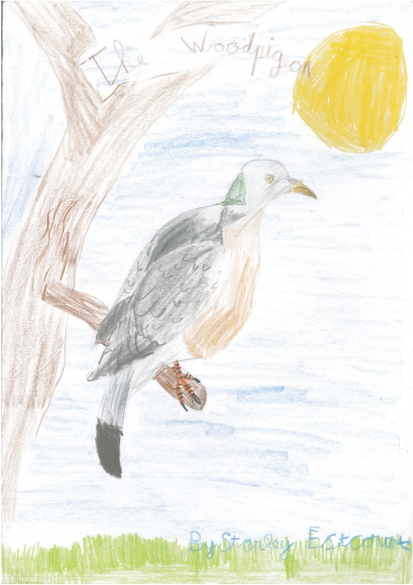 Class 4 Animal Projects