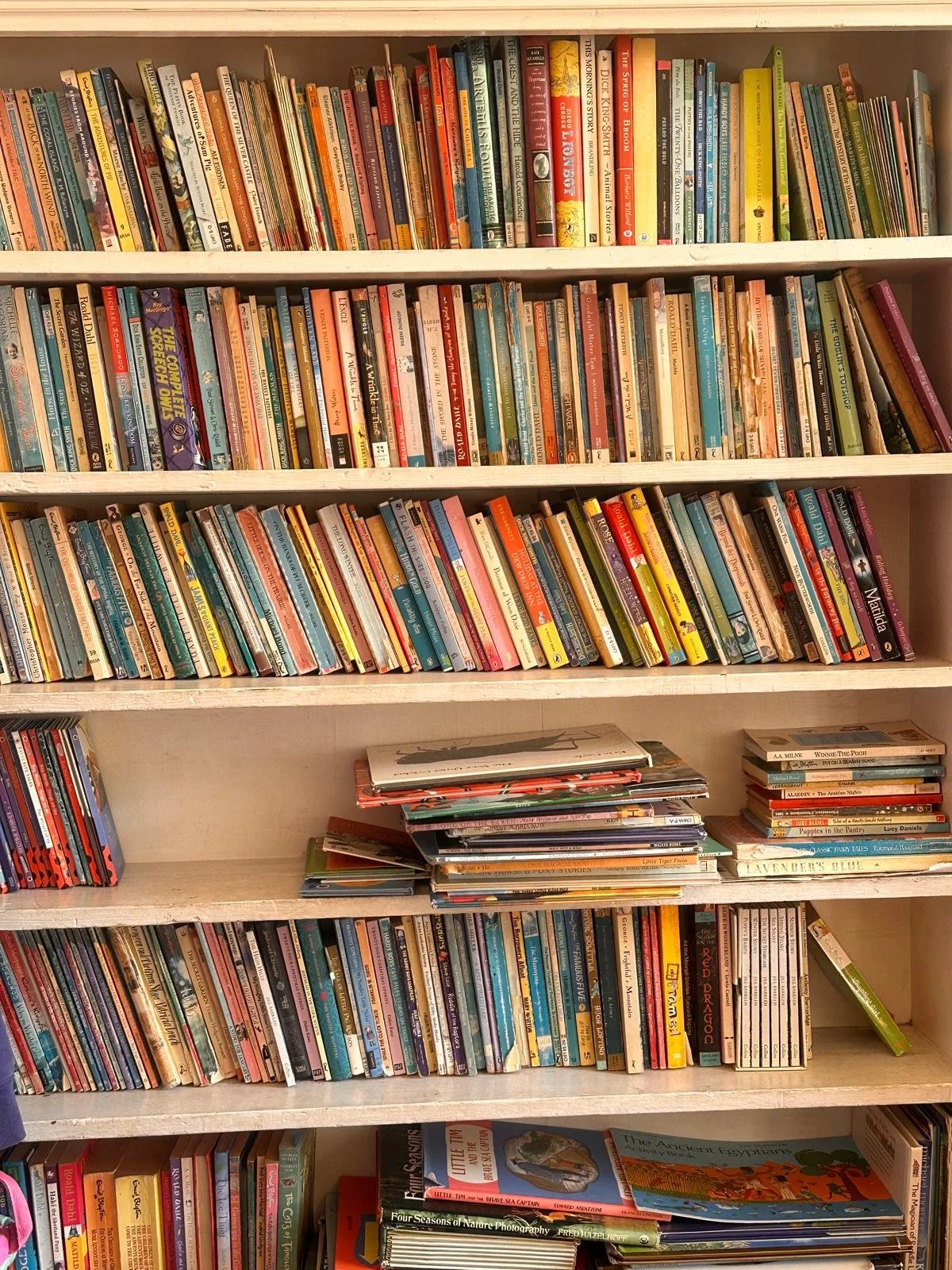 books in classroom.jpeg