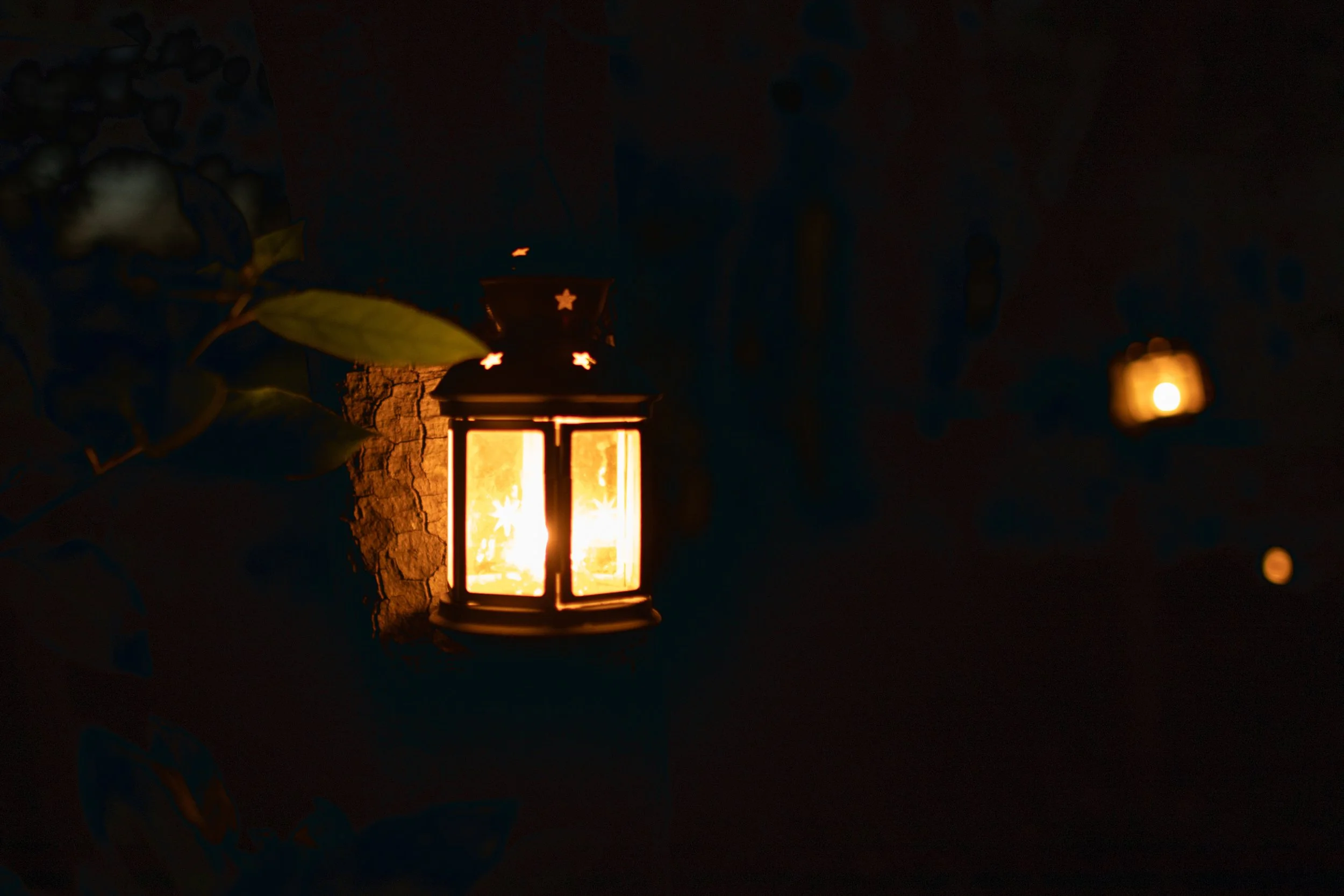 A glowing lantern attached to a textured wall with leaves partially visible on the left side, illuminating the dark surroundings.