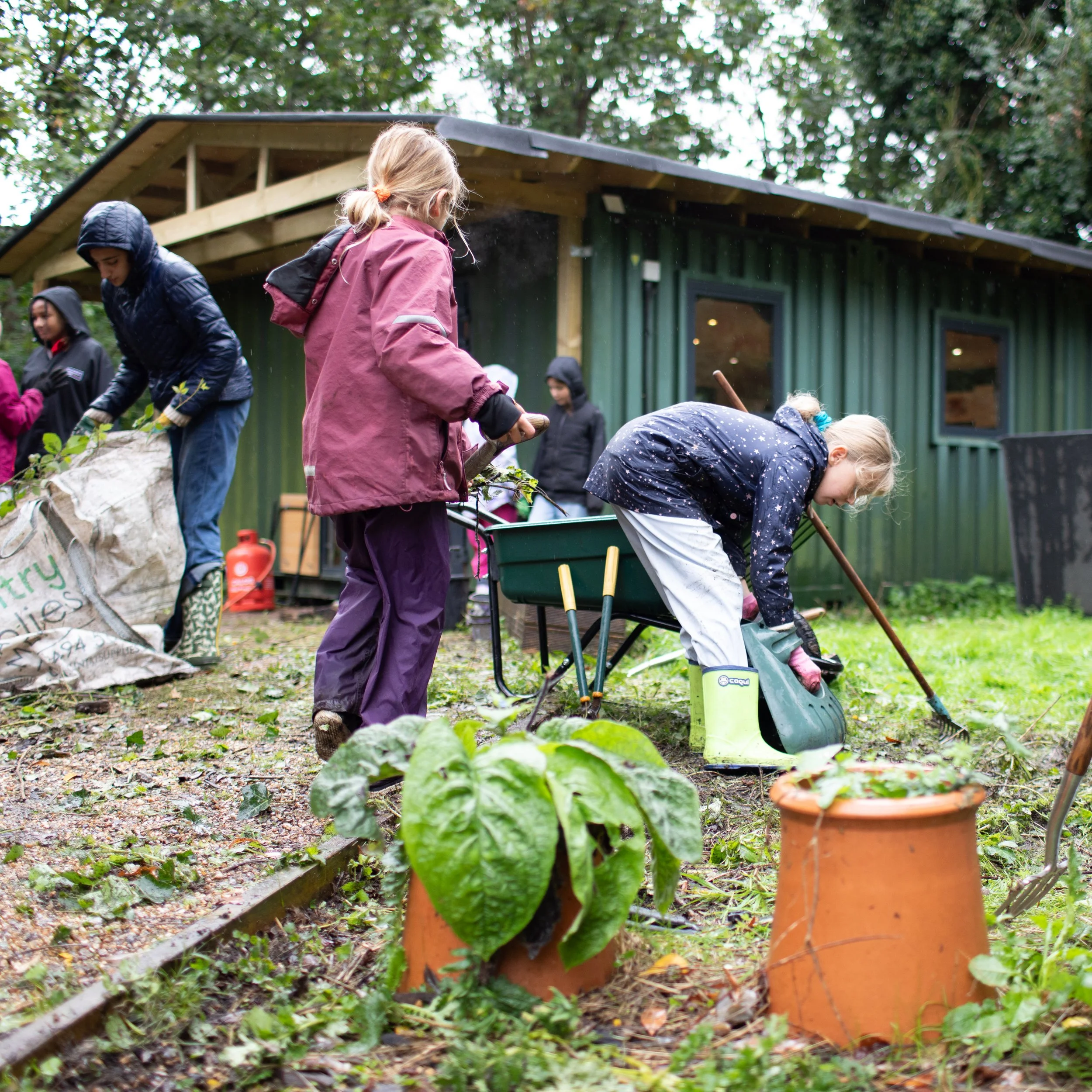 Michaelmas 2024 - School Work Day