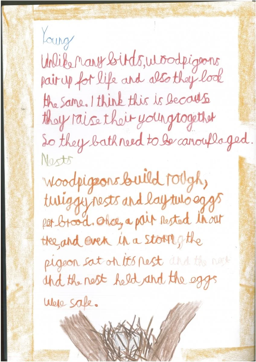 Class 4 Animal Projects