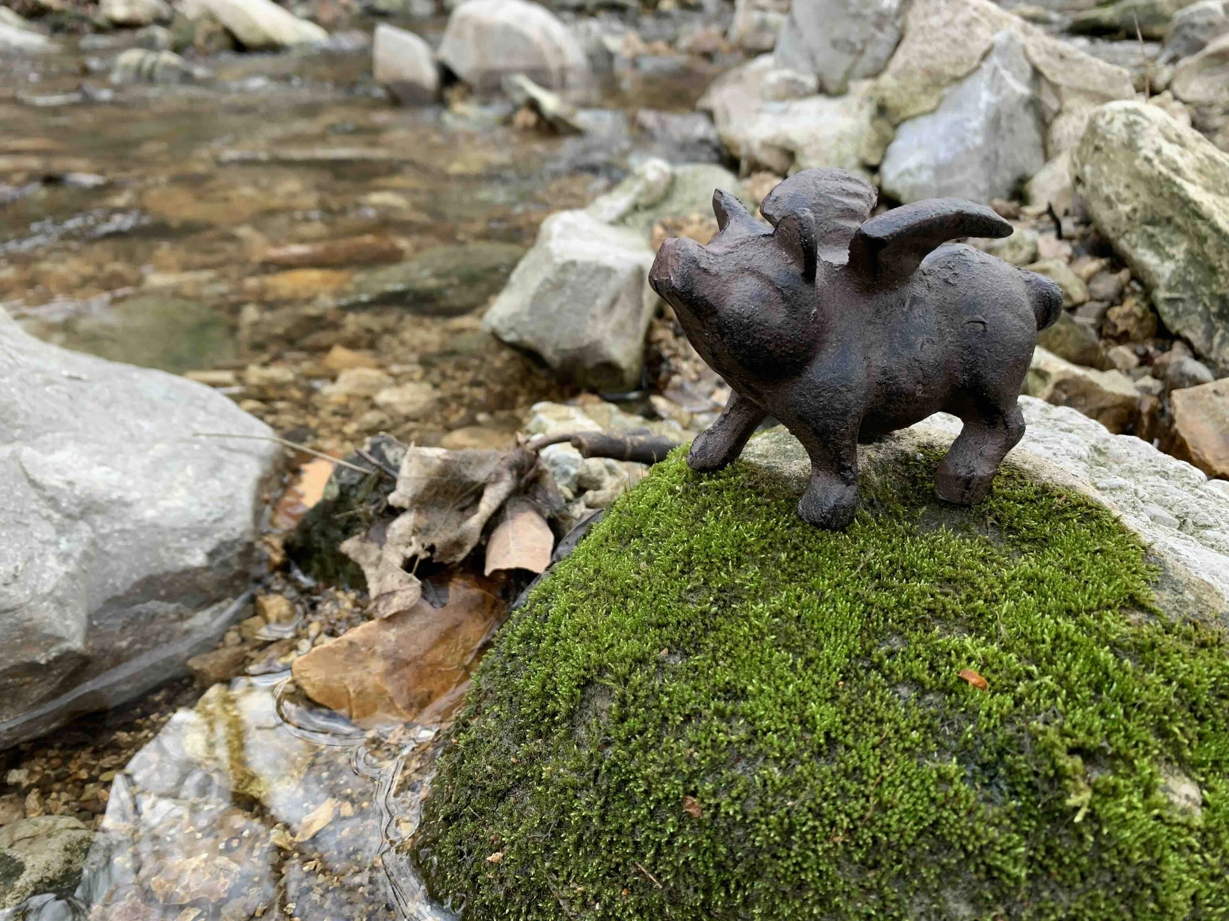cast iron pig on rock