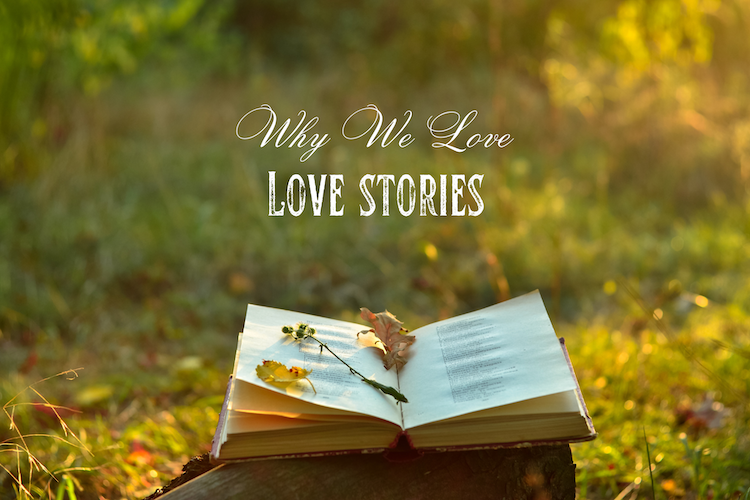 Open book on a log in a golden forest