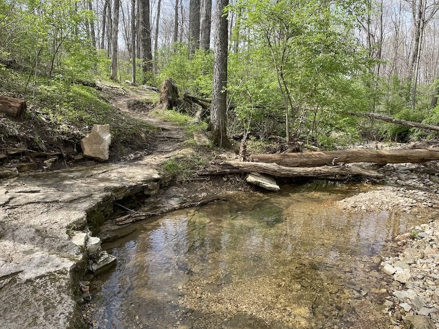small waterfall in the middle of a hiking trail
