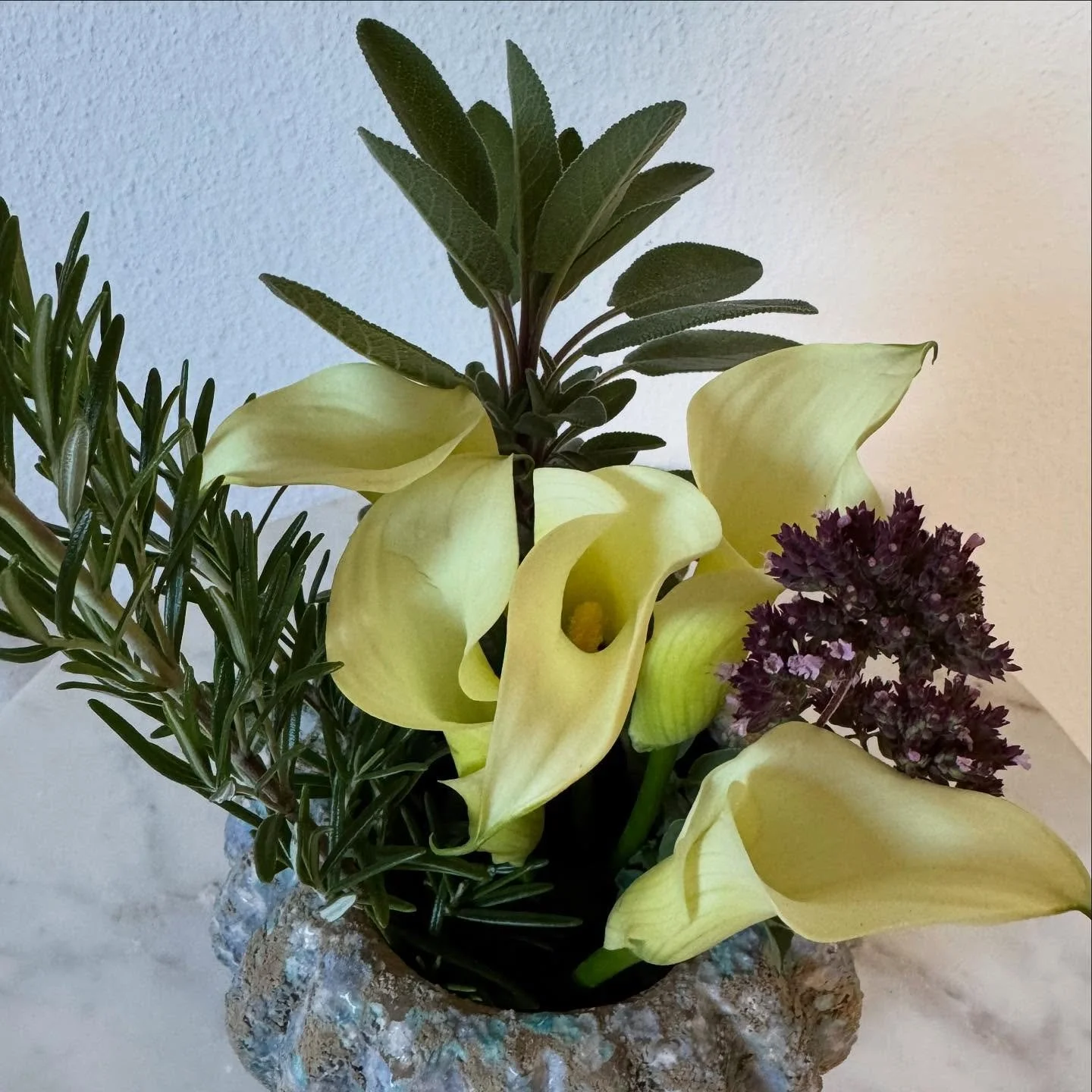 Ich LIEBE die Sch&auml;tze aus dem Garten 💛

Heute:

🌿 Rosmarin f&uuml;r Klarheit und Schutz
🌿 Salbei f&uuml;r Reinigung und Weisheit
✨Calla f&uuml;r Neubeginn und Licht
✨Oregano f&uuml;r Herz&ouml;ffnung und Geborgenheit

#bumensprache #achtsamke