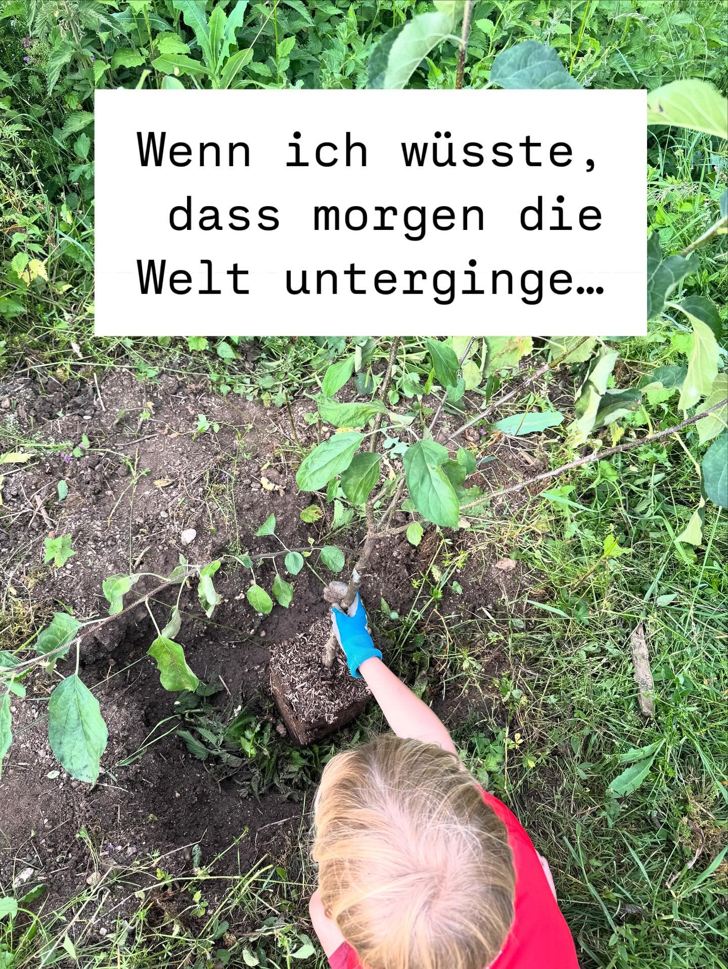 REGULATION beginnt im Kleinen. 🌱

&bdquo;Wenn ich w&uuml;sste, dass morgen die Welt unterginge,
w&uuml;rde ich heute noch mein Apfelb&auml;umchen pflanzen.&ldquo;

Oft wird dieses Zitat Martin Luther zugeschrieben &ndash; doch vermutlich stammt das 