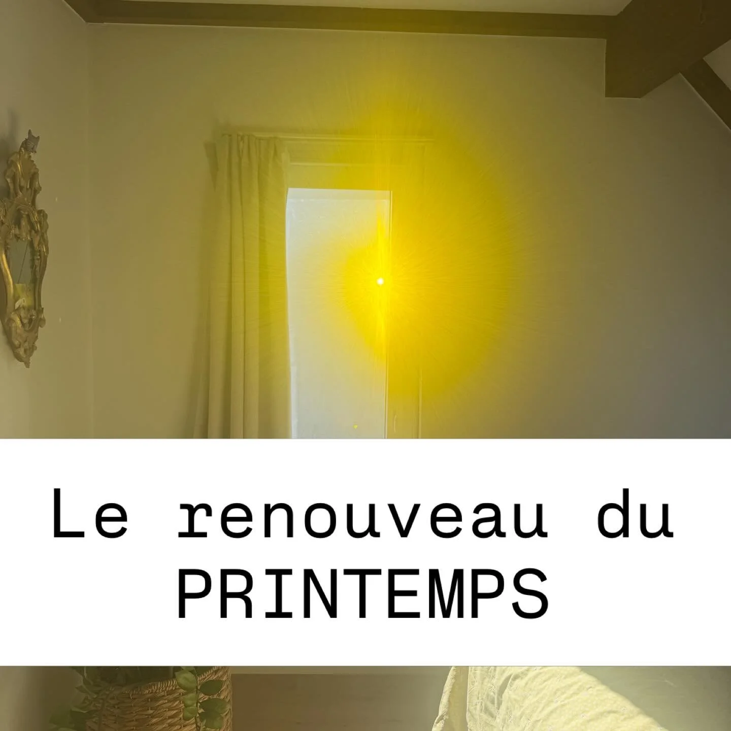 NEUBEGINN 💫

Die letzten Monate waren f&uuml;r mich ein wilder Ritt durch alte Emotionen, Trauer, neue Gef&uuml;hle und dem starken Ruf nach Ver&auml;nderung.

Wie sieht diese gerade bei dir aus?

Ich kultiviere im Moment mehr denn je das Prinzip 
M