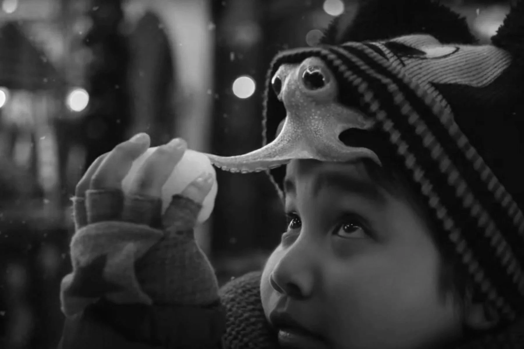 THE BOY AND THE OCTOPUS